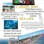 La Casa Di M : D M. Tatil Evi
